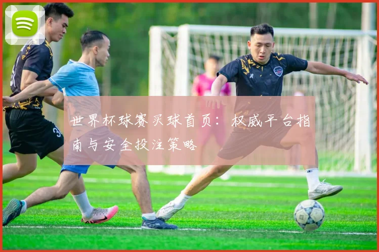 世界杯球赛买球首页：权威平台指南与安全投注策略